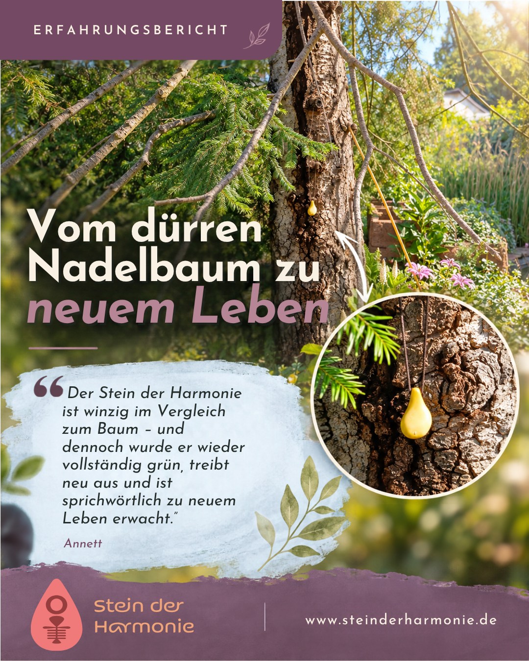 🌳✨ VOM DÜRREN BAUM ZU NEUEM LEBEN! 🌿💚 Manchmal schreibt die Natur…